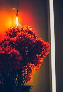 Crimson Bloom Crimson Bloom