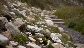 Rocky Path Rocky Path