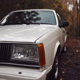 Vintage Ride
