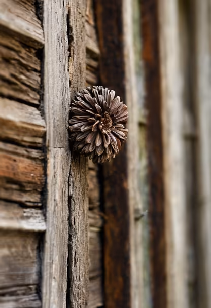 Rustic Bloom Rustic Bloom