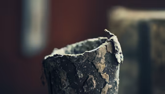 Rustic Relic