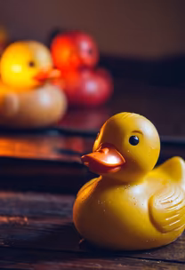 Rubber Duckie, You're the One Rubber Duckie, You're the One