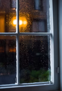 Rainy Day Reflections Rainy Day Reflections