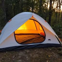 Camping Under the Stars Camping Under the Stars