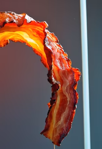 Bacon Bliss Bacon Bliss