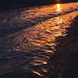 Golden Hour Flow Golden Hour Flow