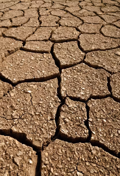 Cracked Earth Cracked Earth