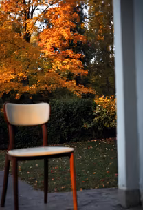Autumn Serenity