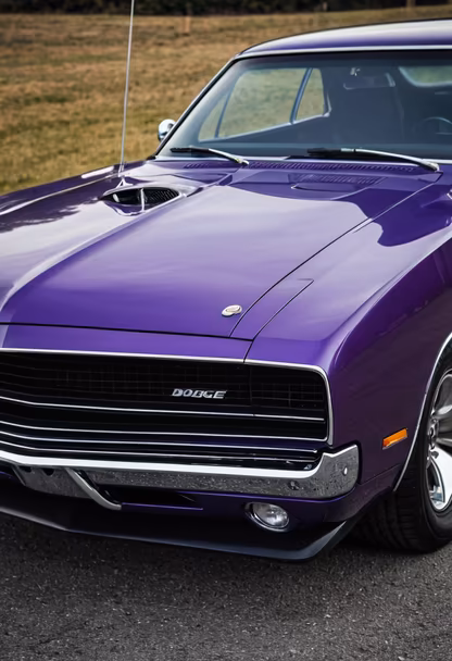 Plum Crazy Plum Crazy