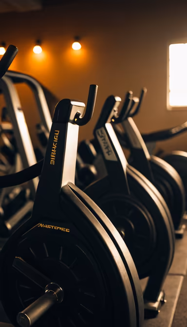 Gym Equipment