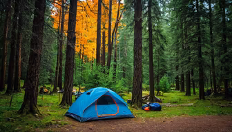 Camping in the Woods