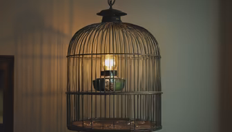 Caged Light Caged Light