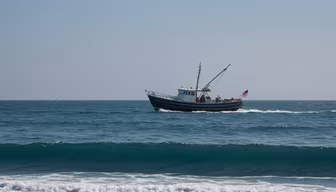 Coastal Cruise Coastal Cruise