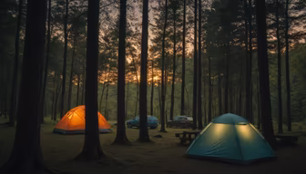 Camping Under the Stars
