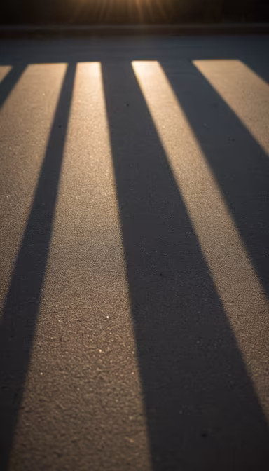 Shadow Play