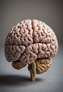 The Seat of Consciousness The Seat of Consciousness