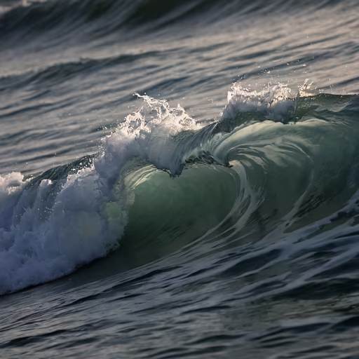 Ocean's Embrace