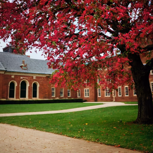 Autumn Campus