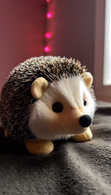 Hedgehog Friend Hedgehog Friend
