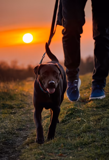 Sunset Stroll Sunset Stroll