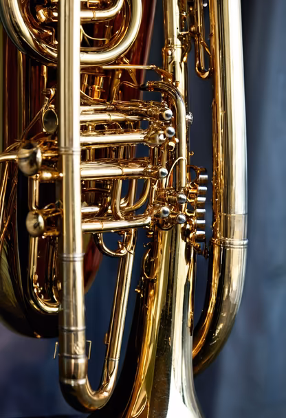 Brass Beauty Brass Beauty