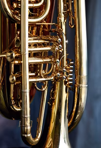 Brass Beauty Brass Beauty