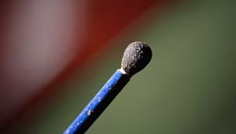 Burnt Match Burnt Match