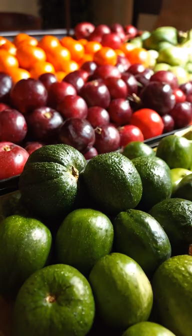 Fresh Harvest Fresh Harvest