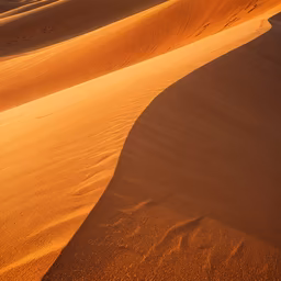 Desert Dreams Desert Dreams