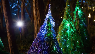 Enchanted Forest Enchanted Forest