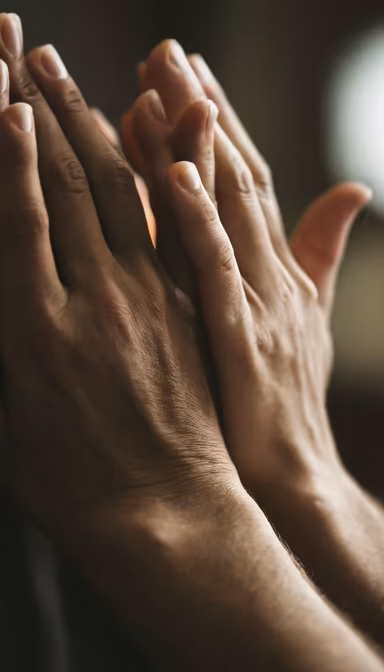 Hands in Prayer Hands in Prayer