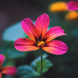 Floral Beauty Floral Beauty