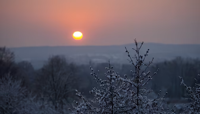 Winter's Glow