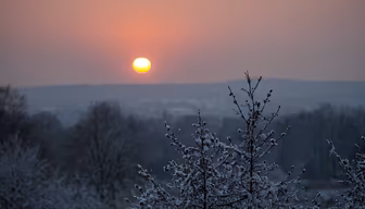 Winter's Glow Winter's Glow