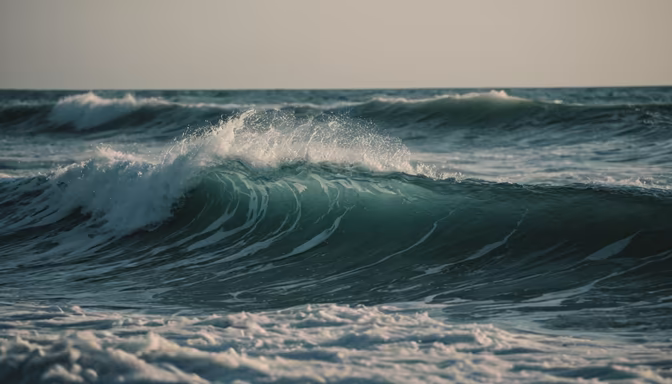 Ocean's Embrace