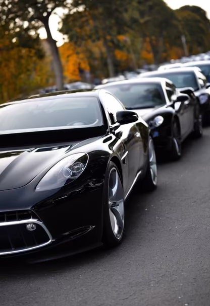 Black Beauties Black Beauties