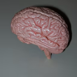 Brain Power Brain Power