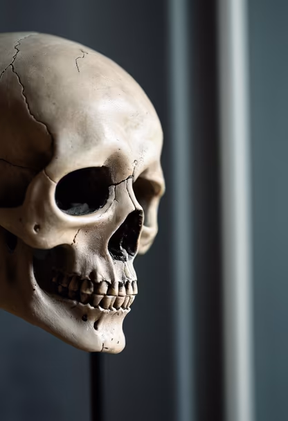 Memento Mori Memento Mori