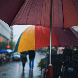 Rainy Day Stroll Rainy Day Stroll