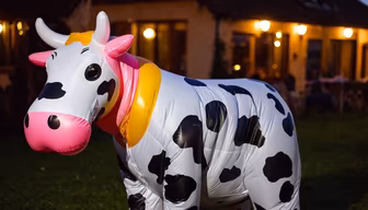 Inflatable Cow Inflatable Cow