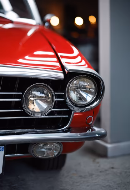 Classic Beauty Classic Beauty