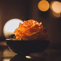 Orange Blossom
