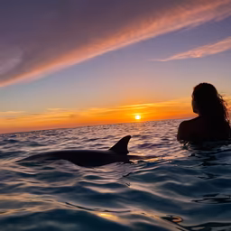 Ocean Dreams Ocean Dreams