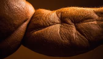 The Story of Hands