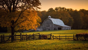 Autumn Barn Autumn Barn