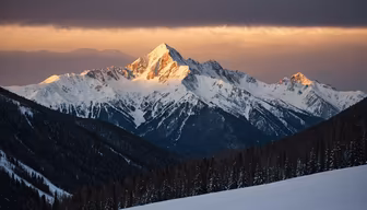 Alpine Majesty Alpine Majesty