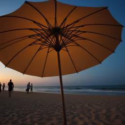 Beach Sunset