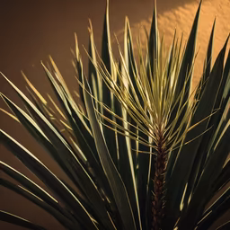 Desert Bloom