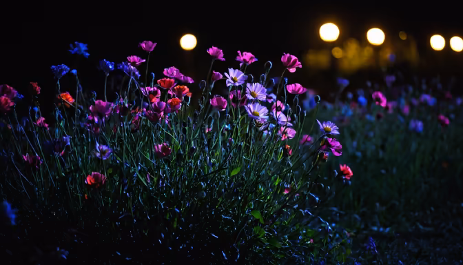 Night Bloom
