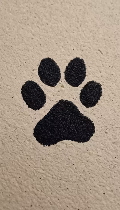 Paw Print